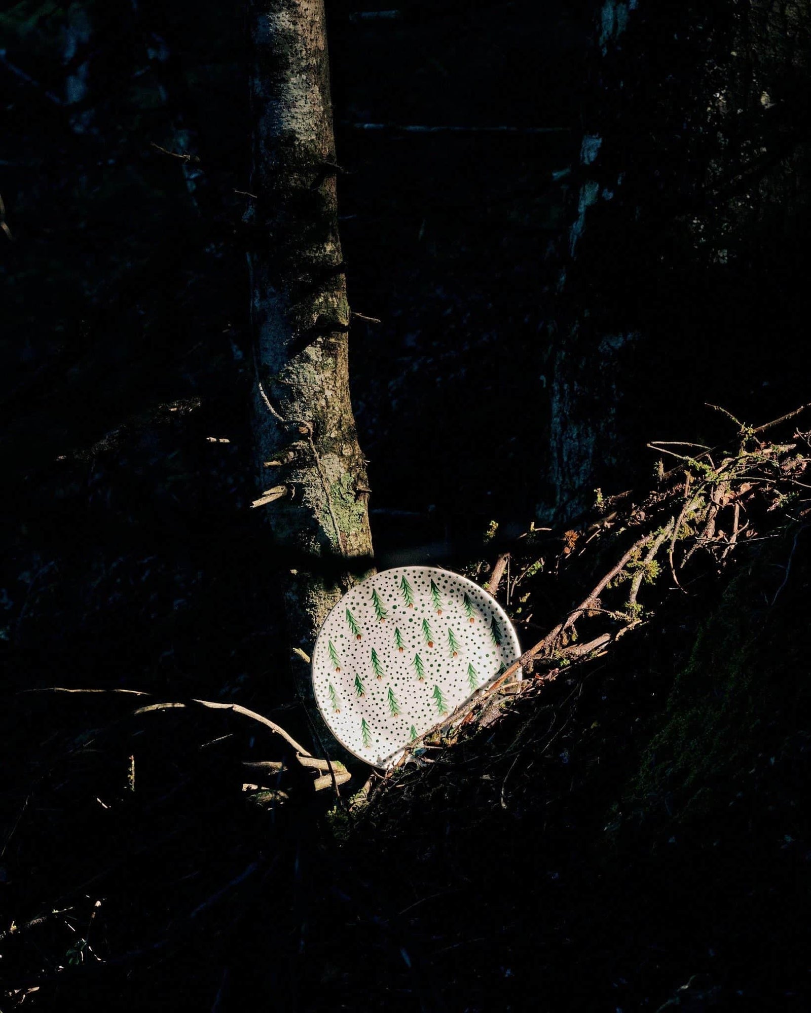Forest Plate