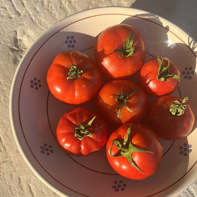 Small Puglia Salad Bowl 22cm