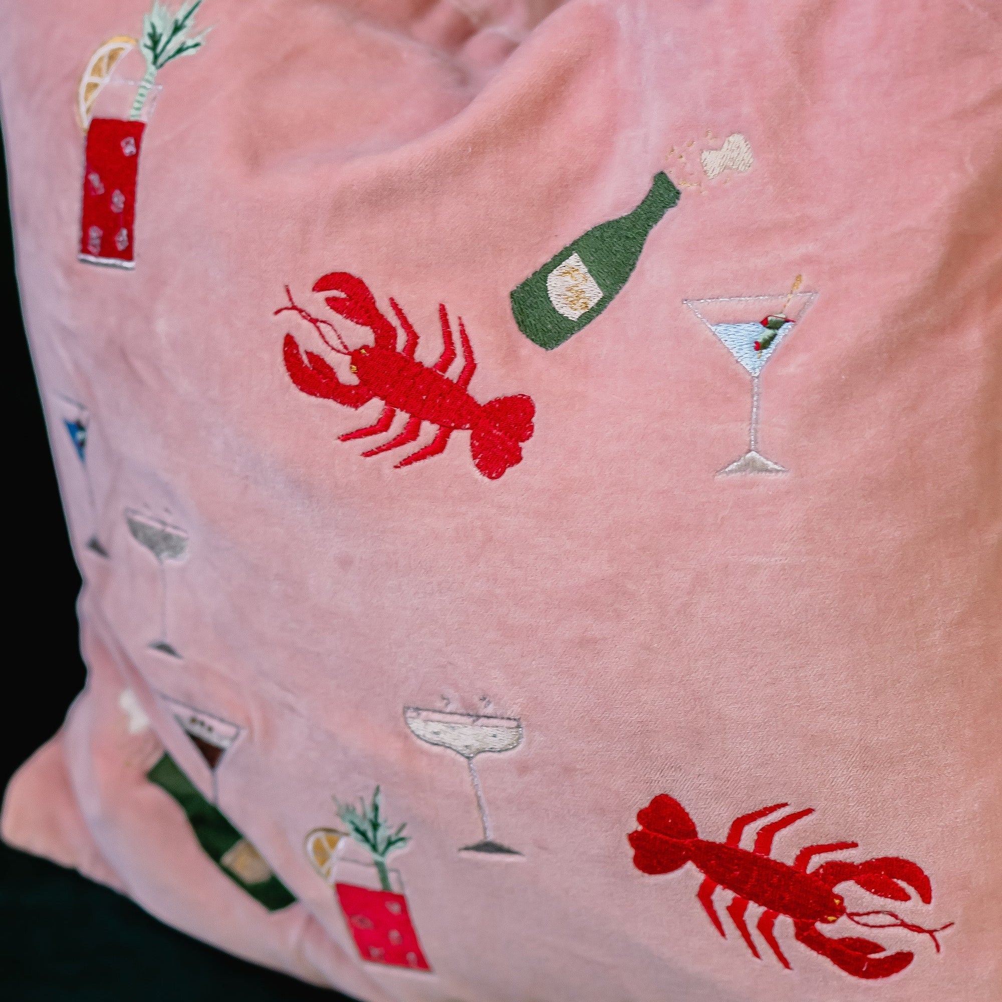 The Velvet Doodle Cushion