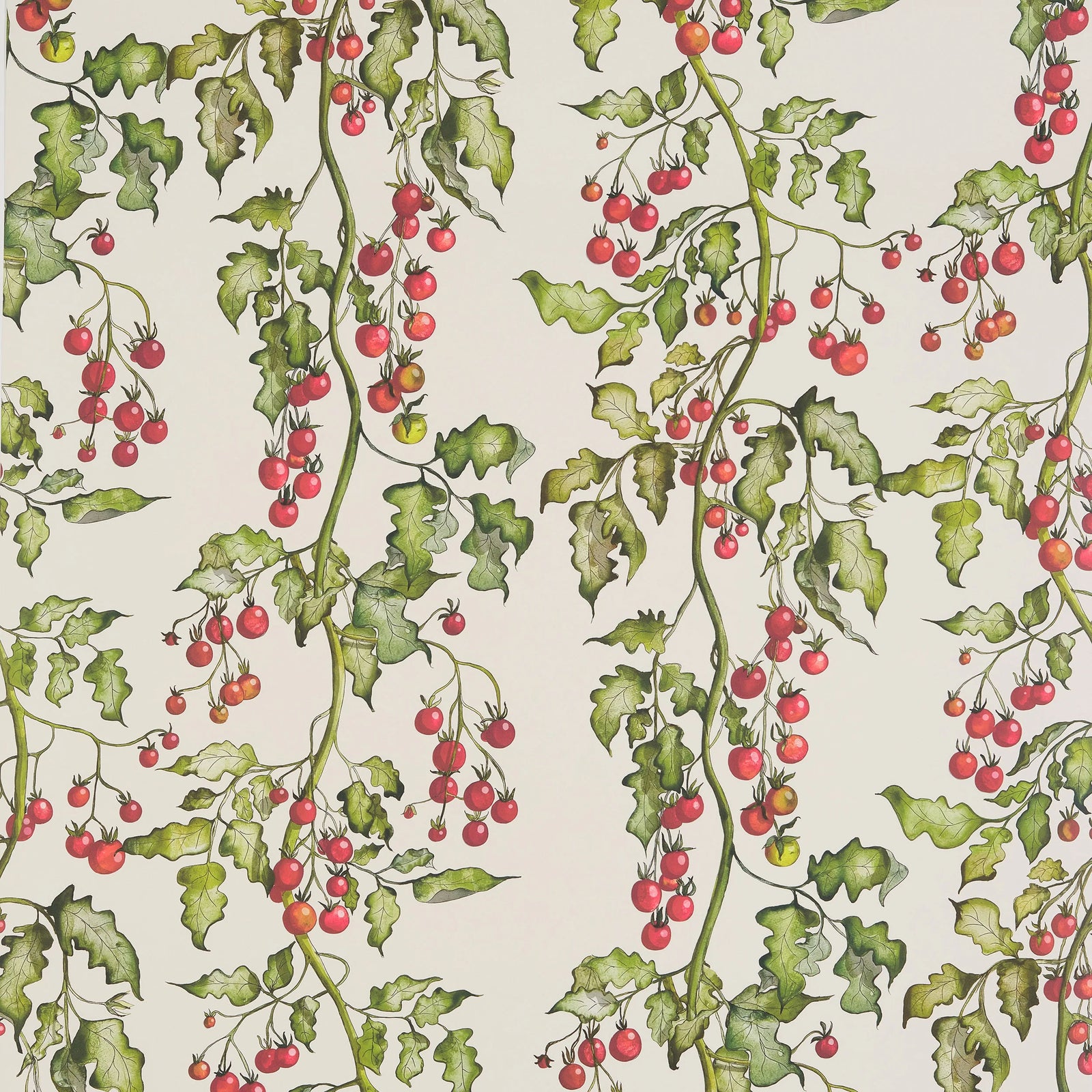 Tomato Vine Wallpaper