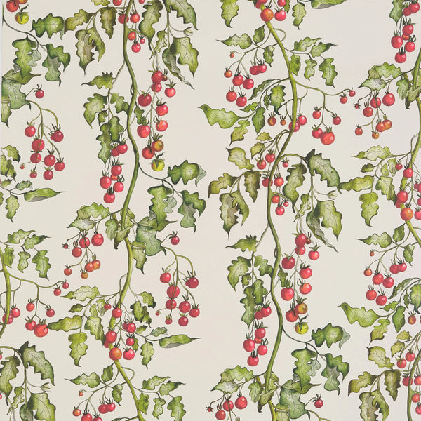 Tomato Vine Wallpaper