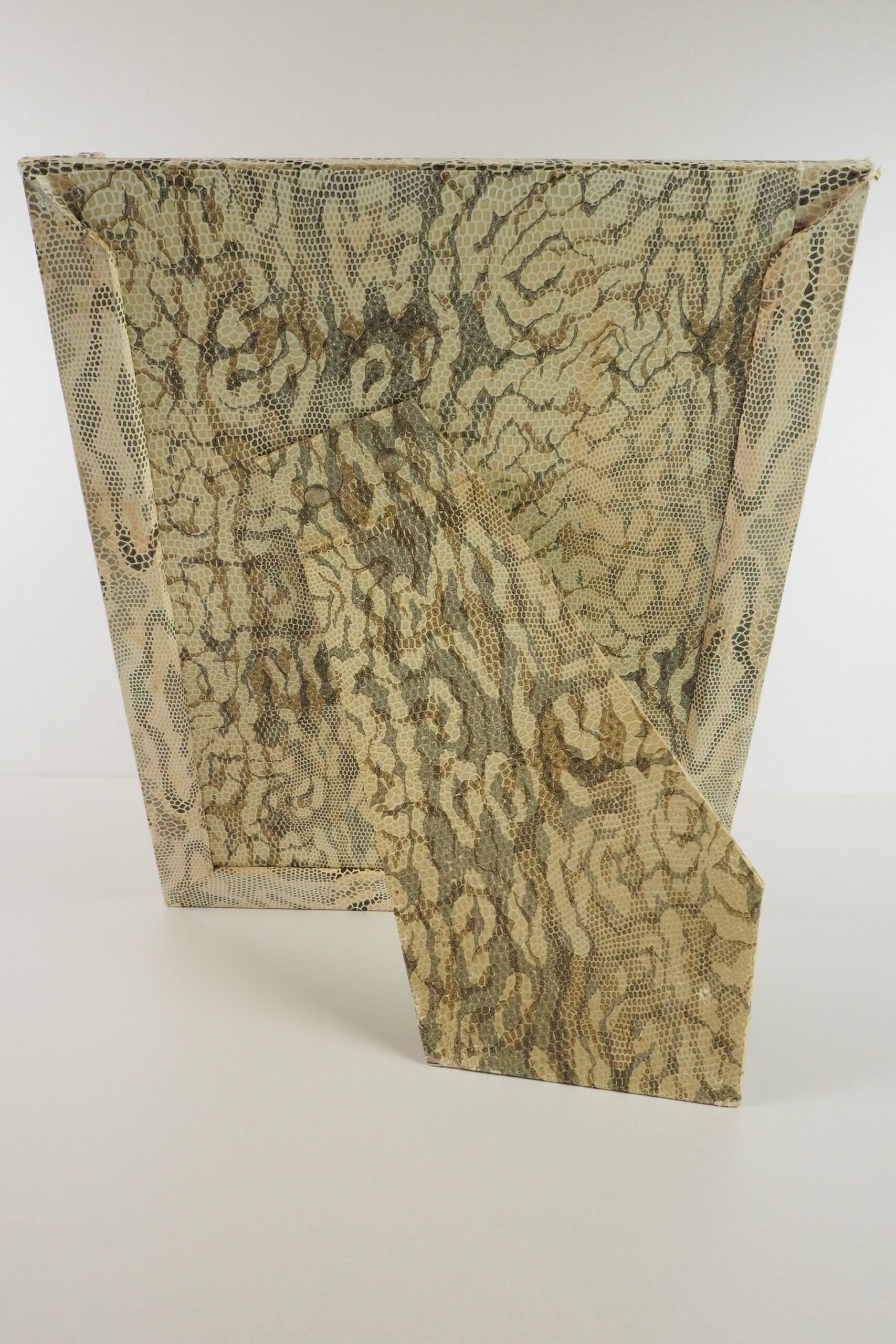 Antique Snake Print Frame