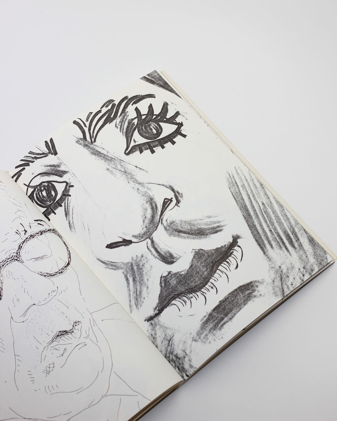 Faces Book