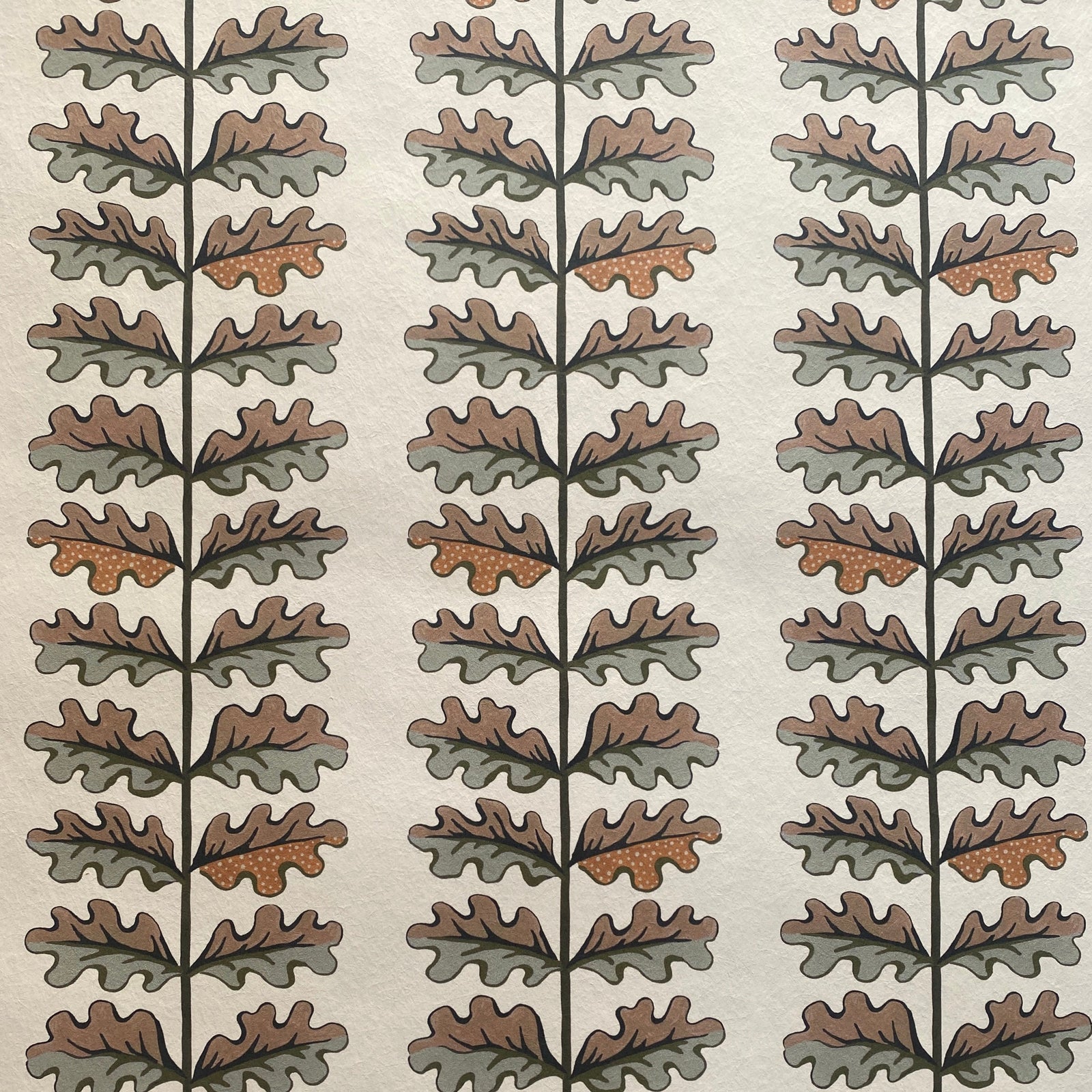 Quercus Wallpaper - Sage