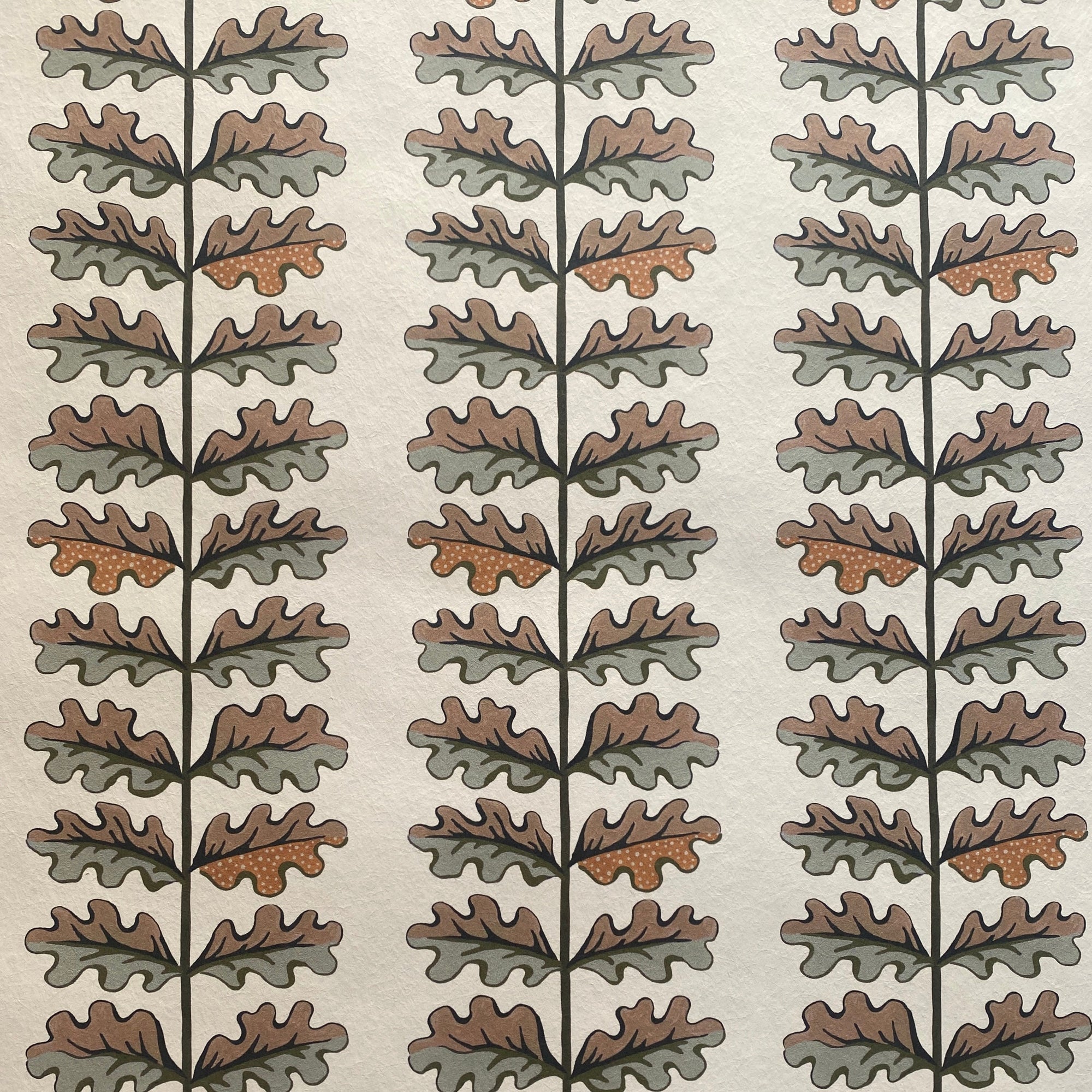 Quercus Wallpaper - Sage