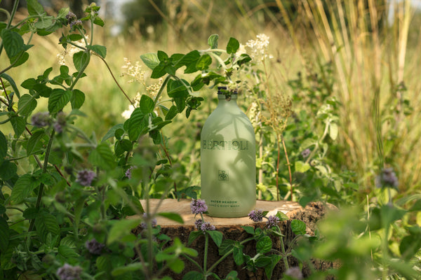 Water Meadow Hand and Body Wash