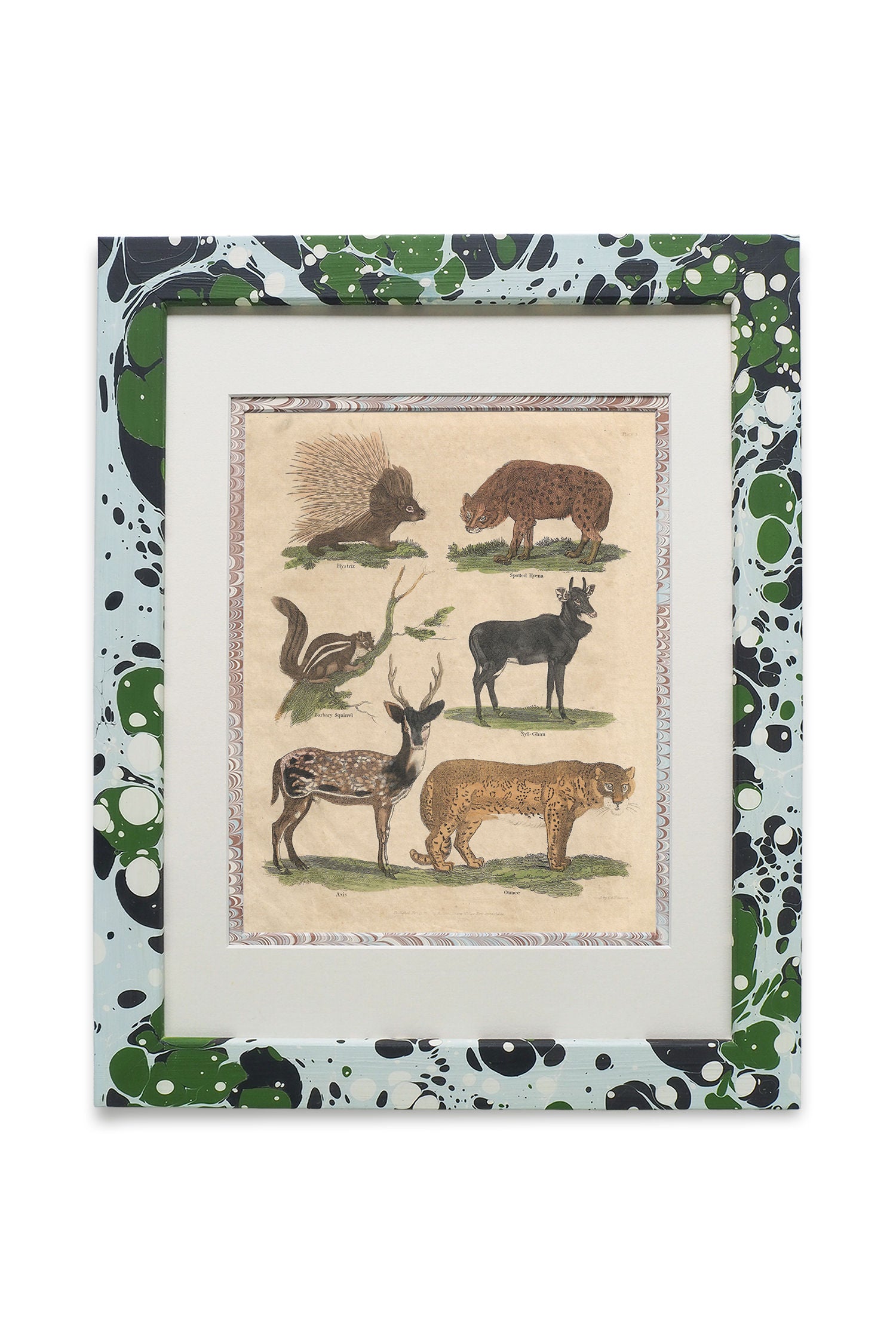 Buffon No.3 Glacier Framed Print