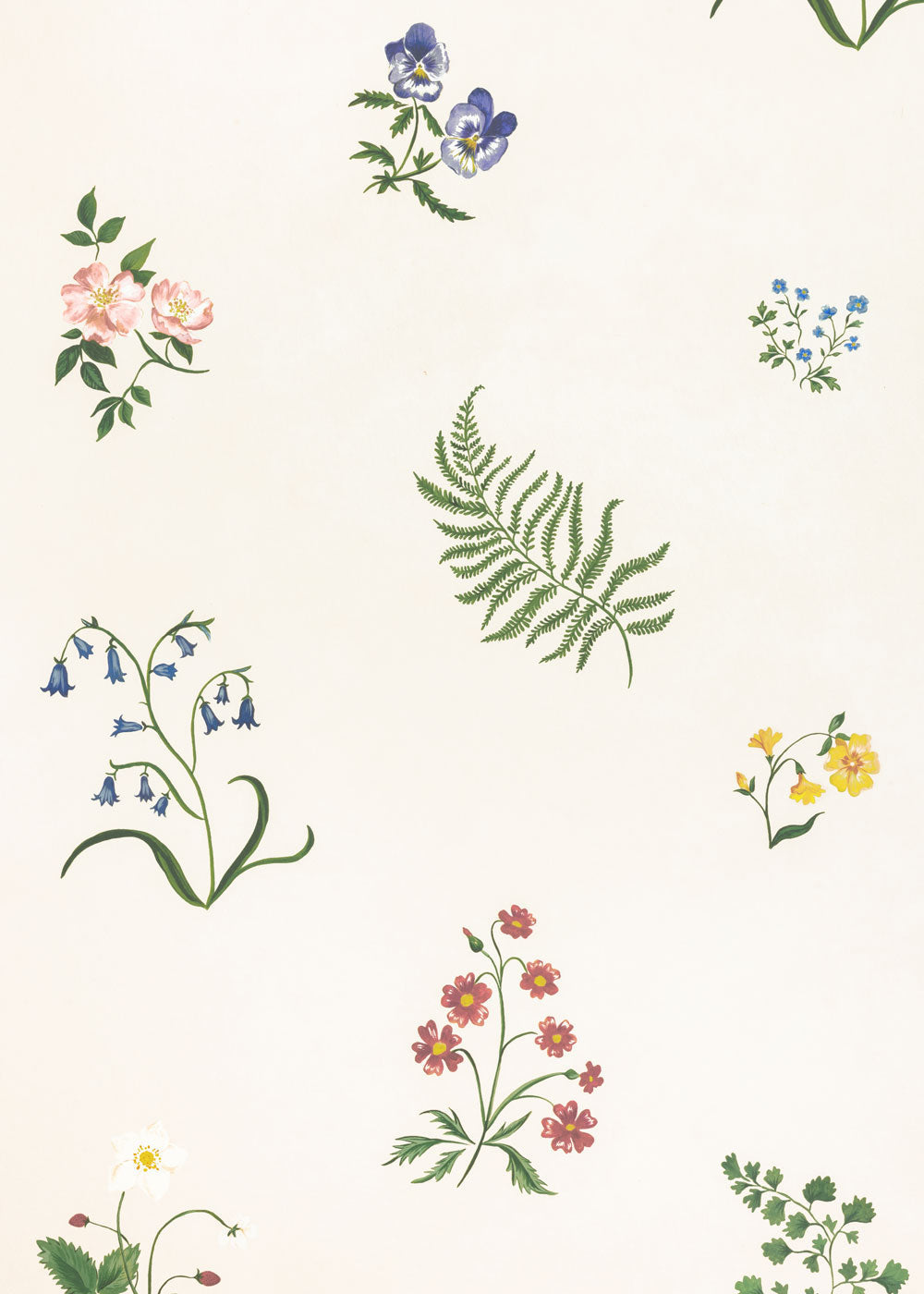 Herbarium Wildflower Wallpaper - Ivory