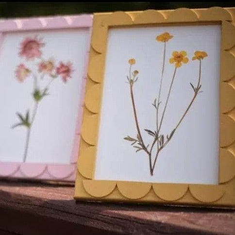Citrine Stained Scallop Frame