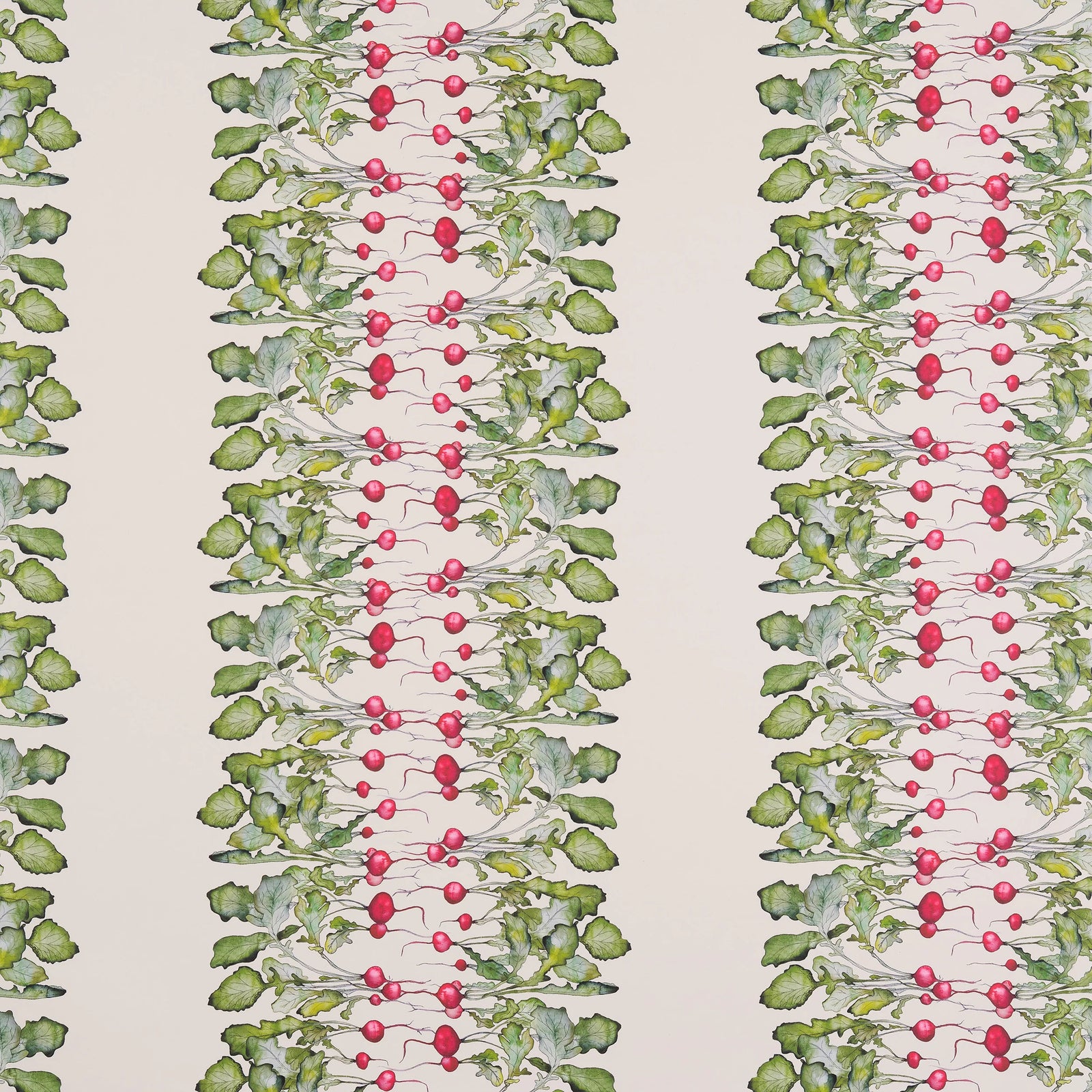 Radish Stripe Wallpaper