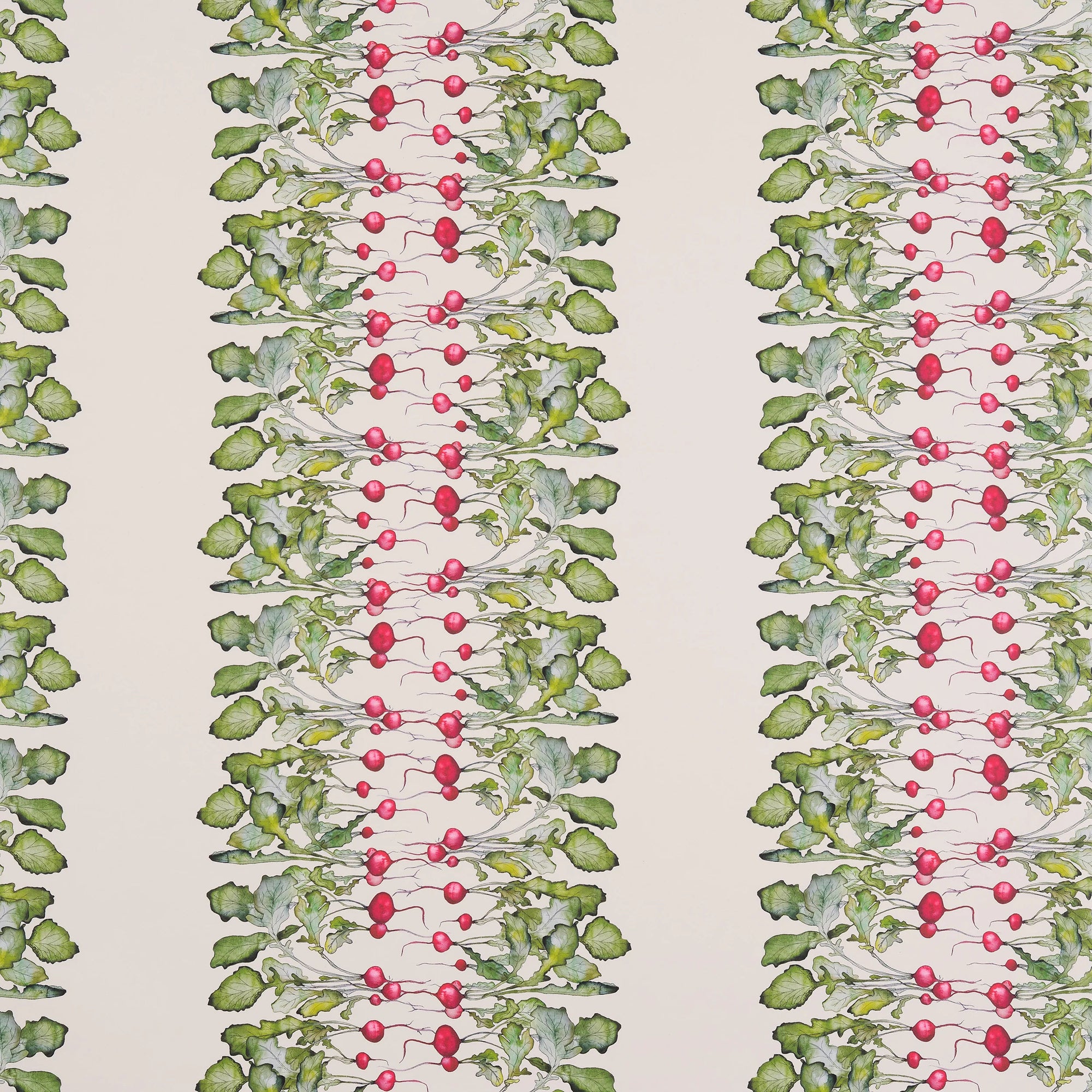 Radish Stripe Wallpaper