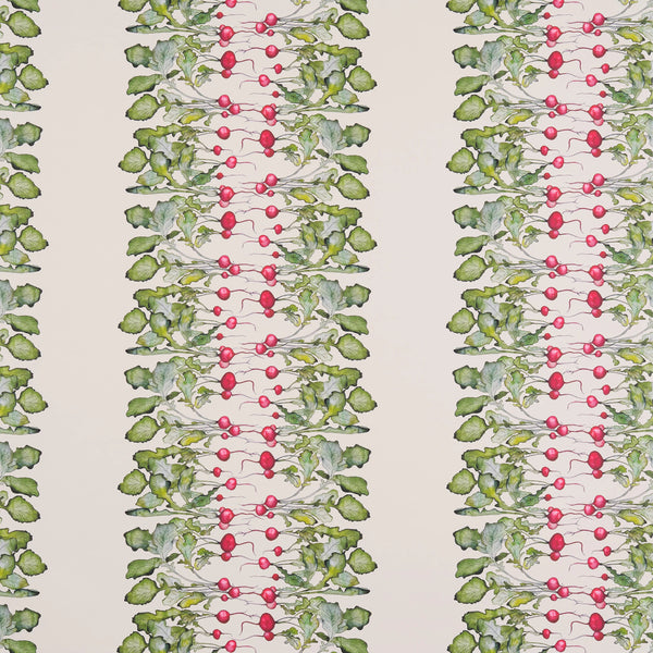 Radish Stripe Wallpaper