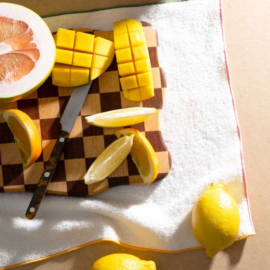 Macaw Terrycloth Dish Towels | Set of 4