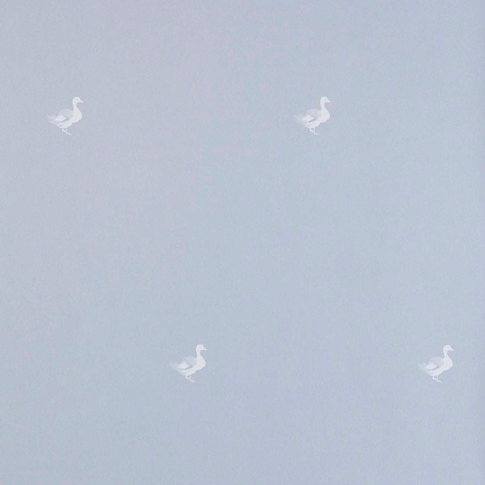 Ducks In A Row Wallpaper – BLUEBIRD