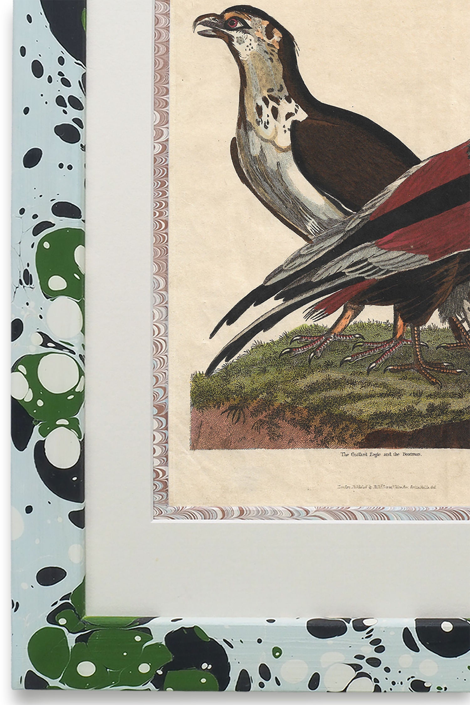 Buffon No.24 Glacier Framed Print