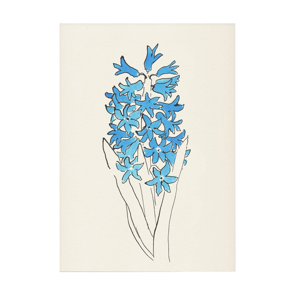 Hyacinth Print