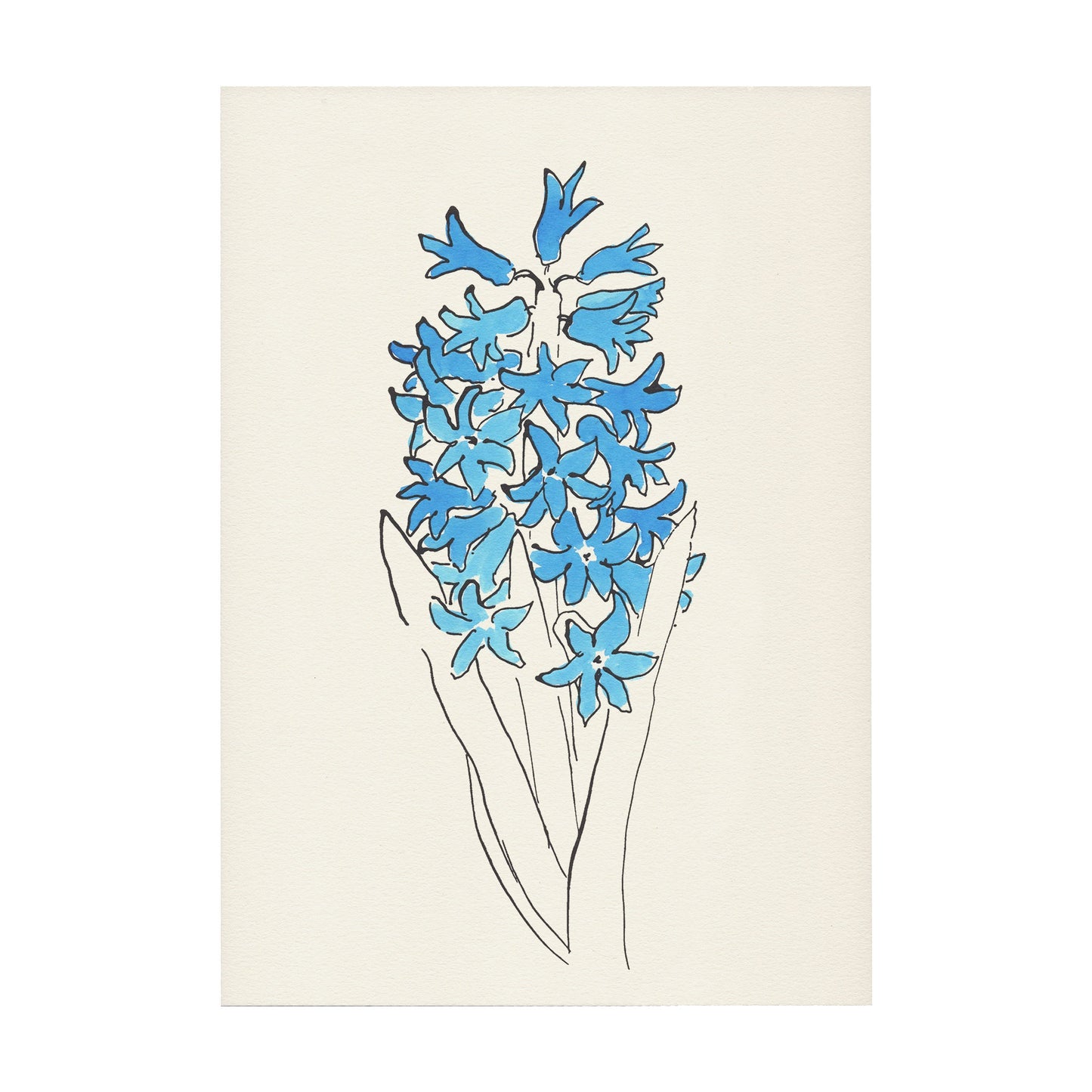 Hyacinth Print