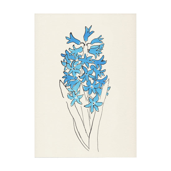 Hyacinth Print