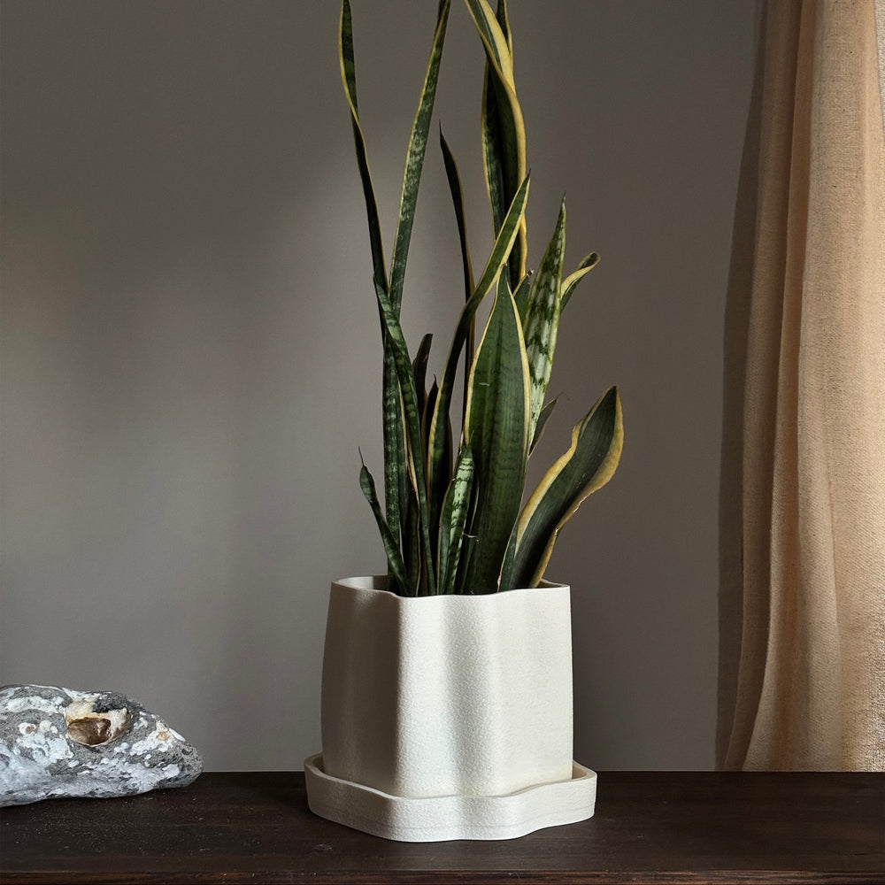 Amanitas Garden | Plant Pot 01 | Sandstone
