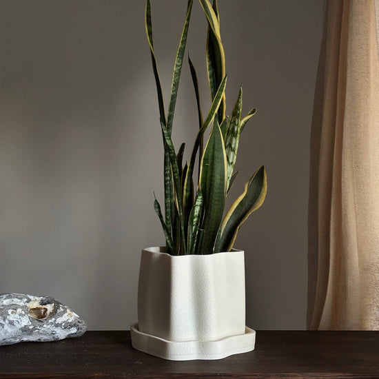 Amanitas Garden | Plant Pot 01 | Sandstone