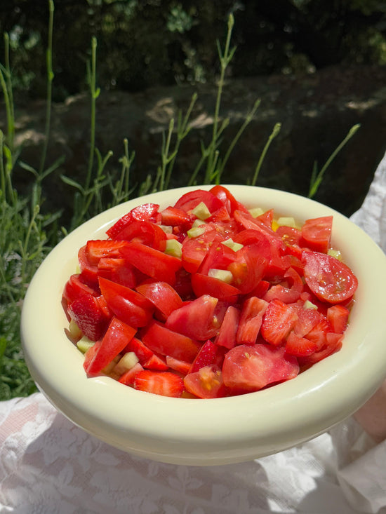 Tostadita Plate Big - White