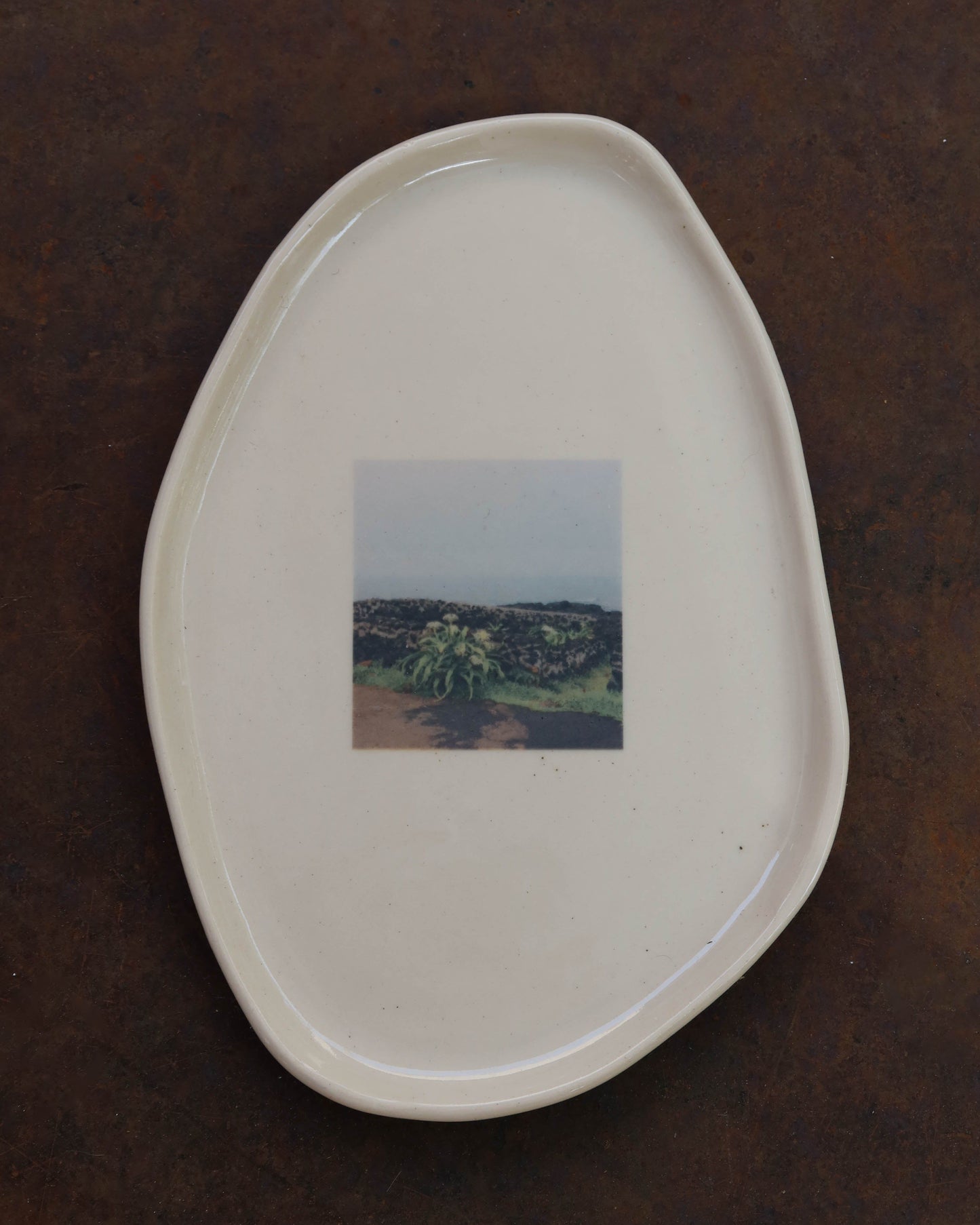 Photo Tray
