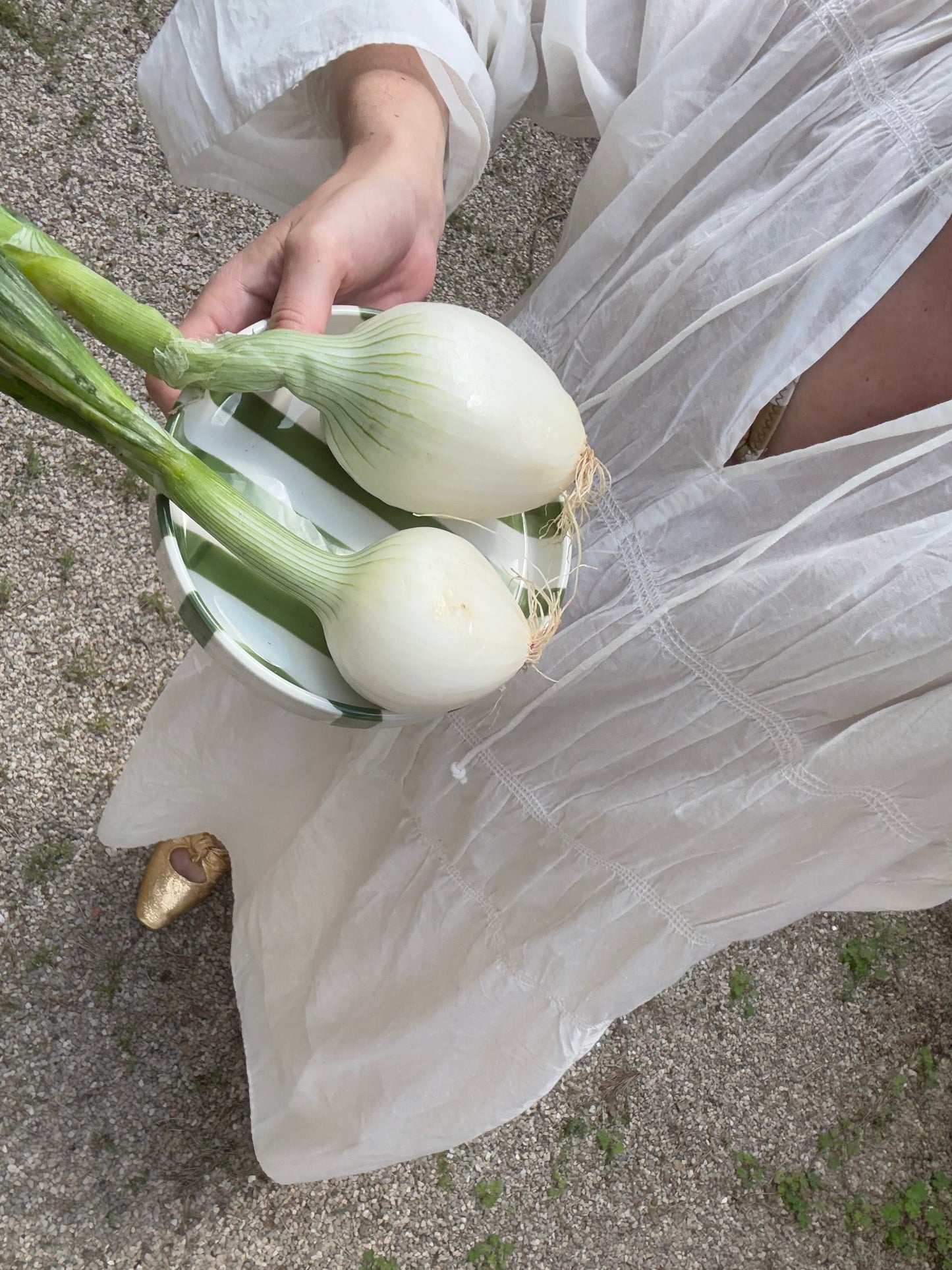 Marinero Plate - Green