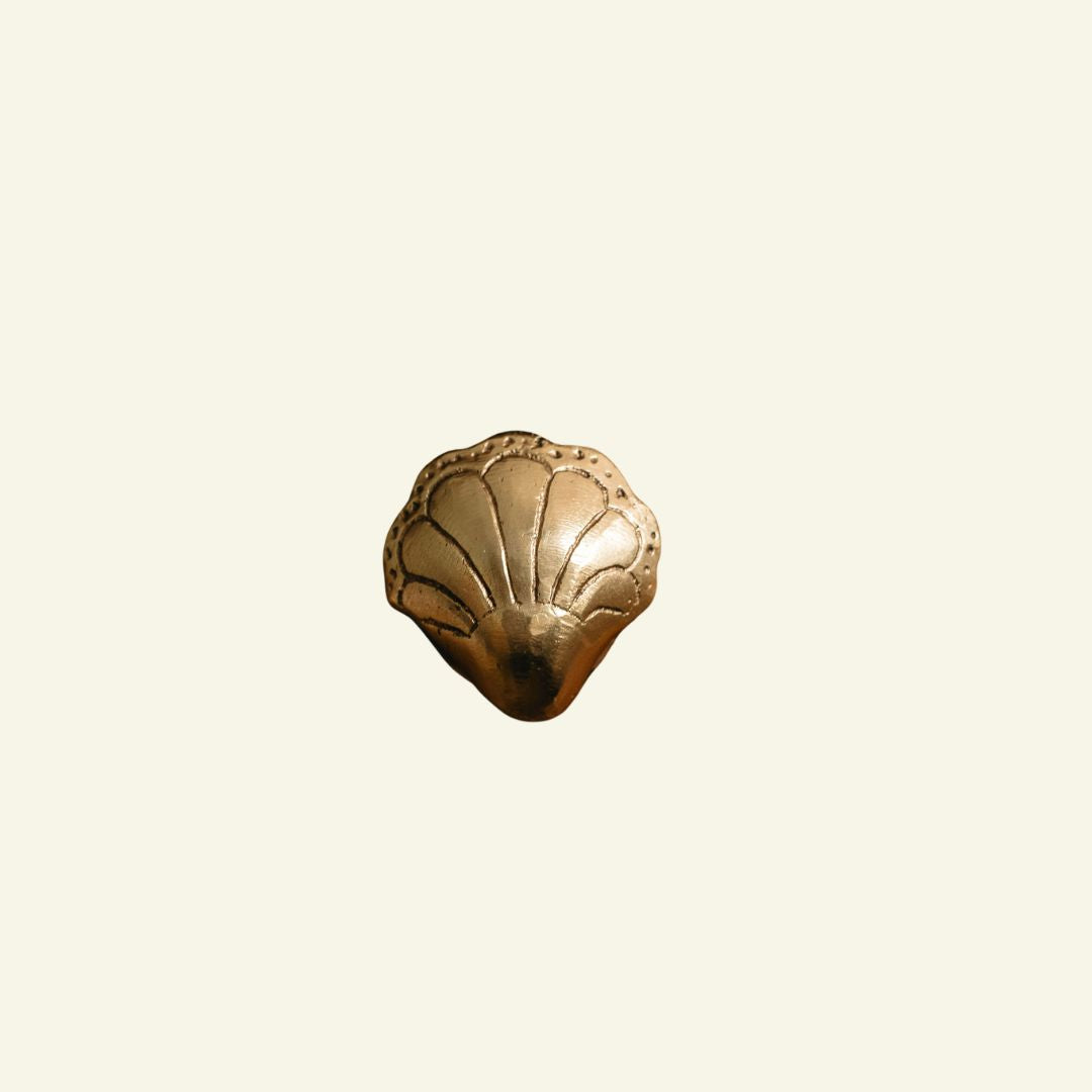 Chunky Shell Knob, Lacquered Brass