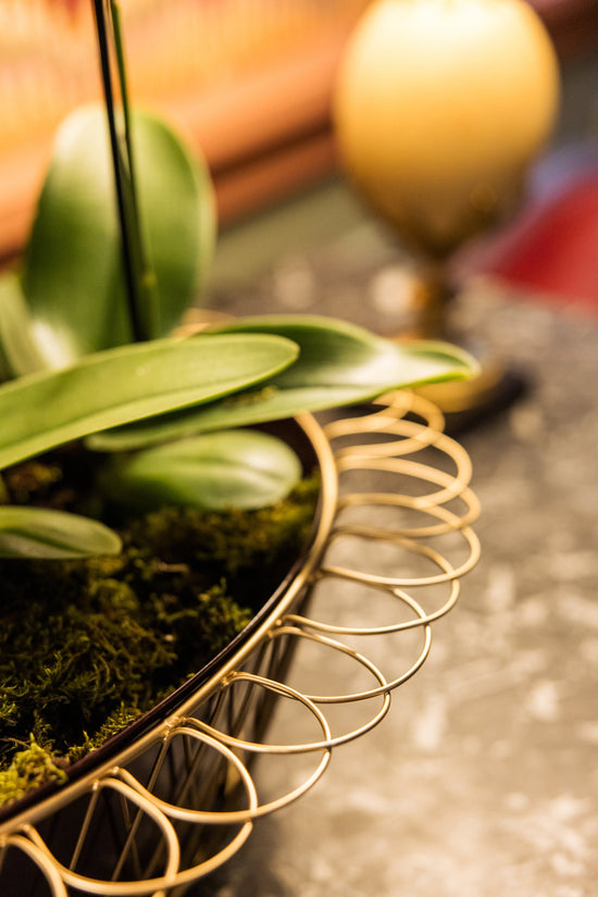 Wire basket Planter | Aubergine & Gold