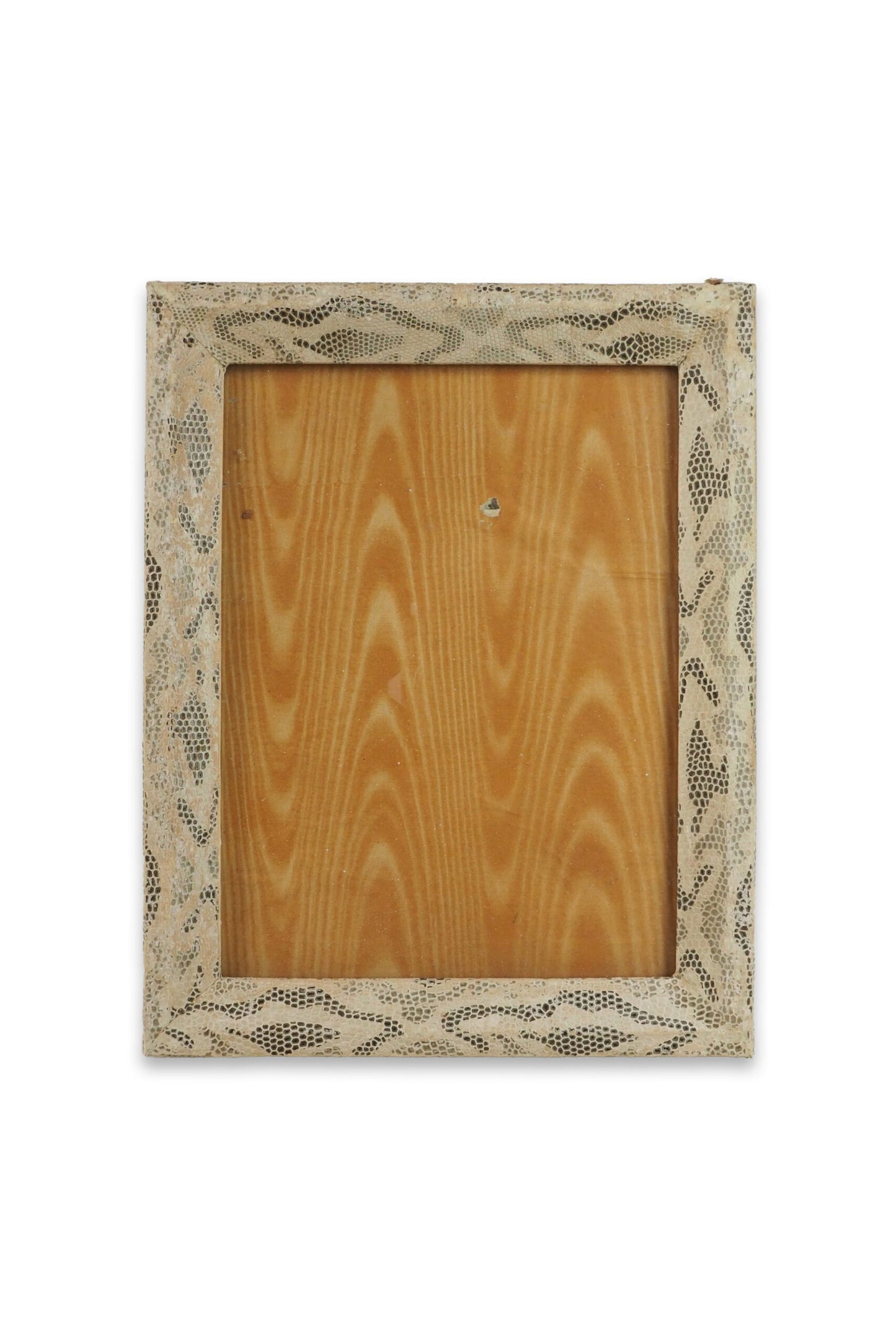 Antique Snake Print Frame