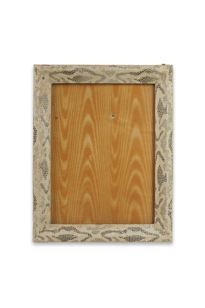 Antique Snake Print Frame