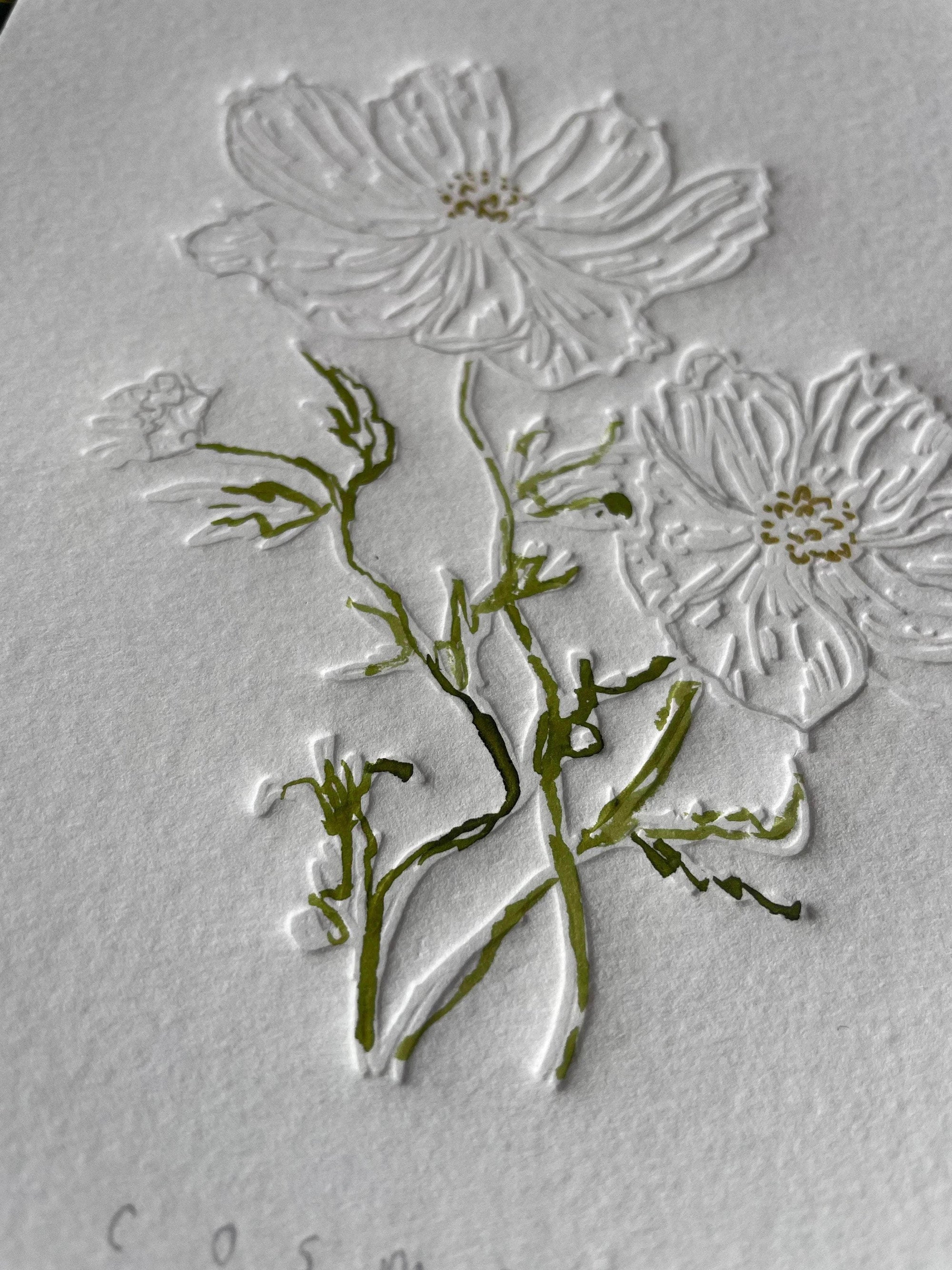 Limited Edition Cosmos Flower of the Month Embossing and Drawing