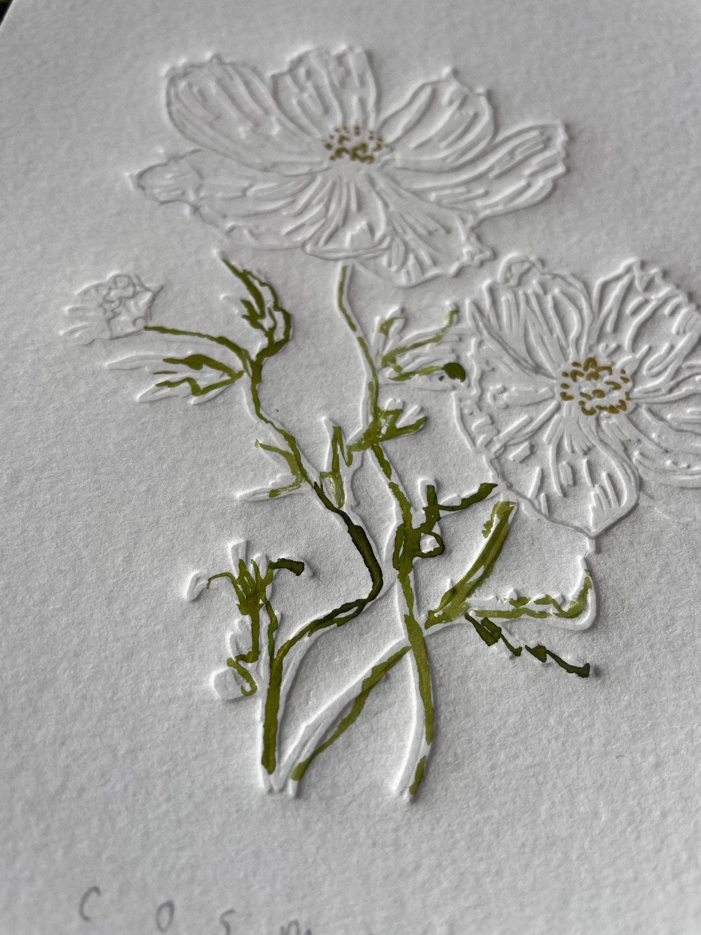 Limited Edition Cosmos Flower of the Month Embossing and Drawing