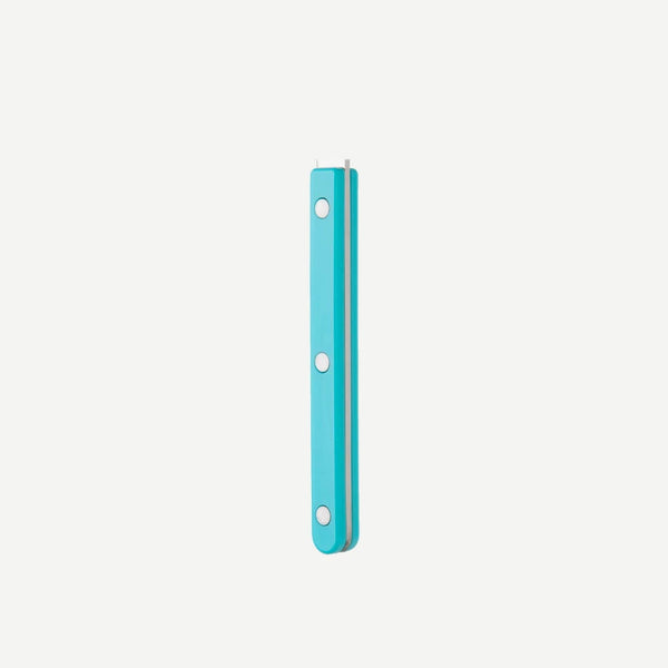 Bistrot Meat Serving Set, Turquoise