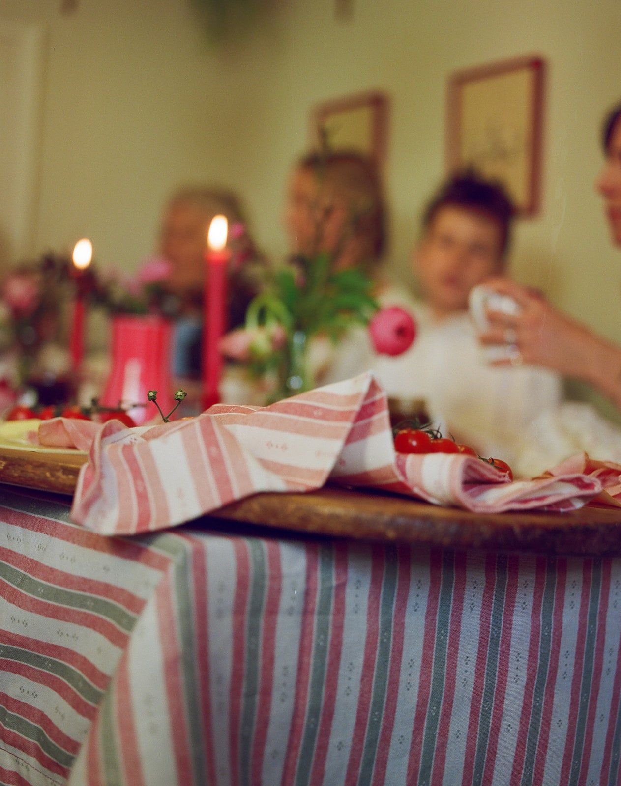 Salzburg Stripe – Green & Red Fabric