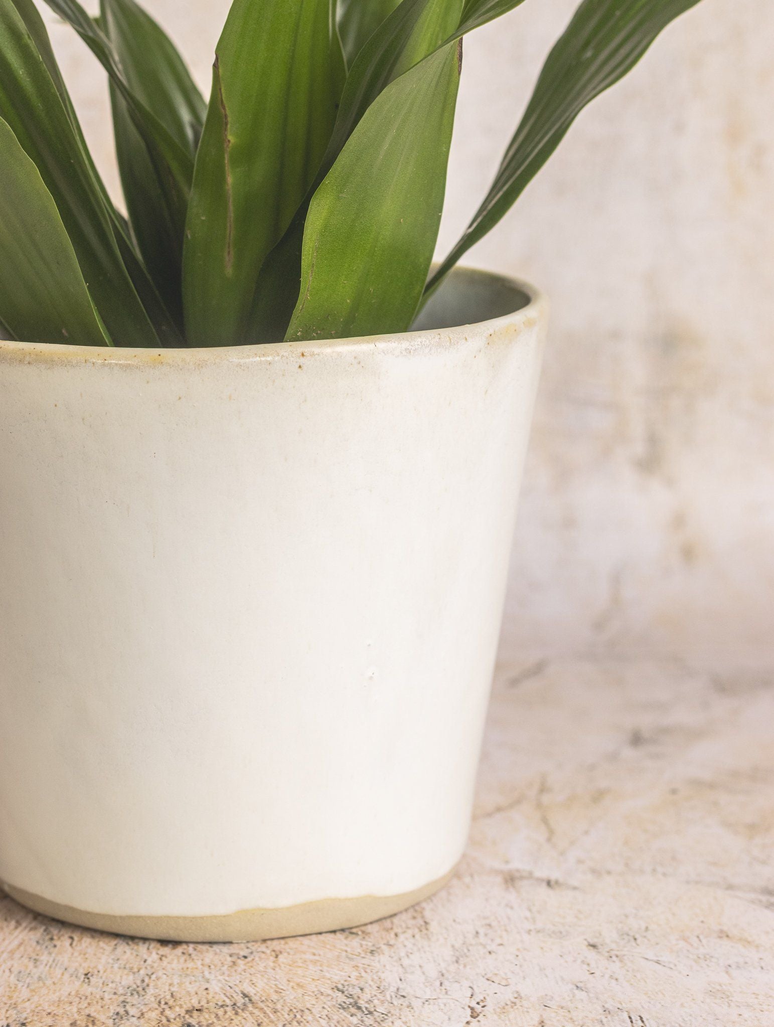 Lakeland Drift Plant Pot