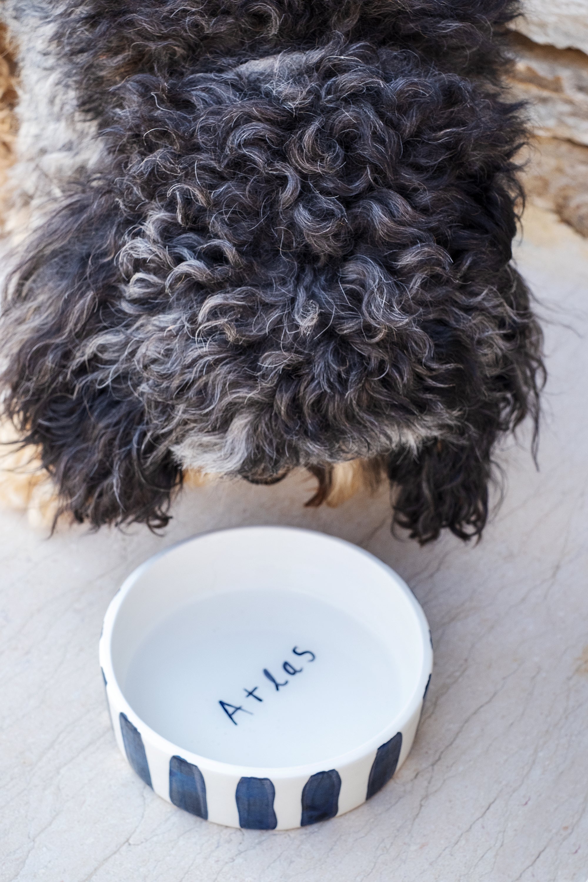 Black and White Striped Pet Bowl