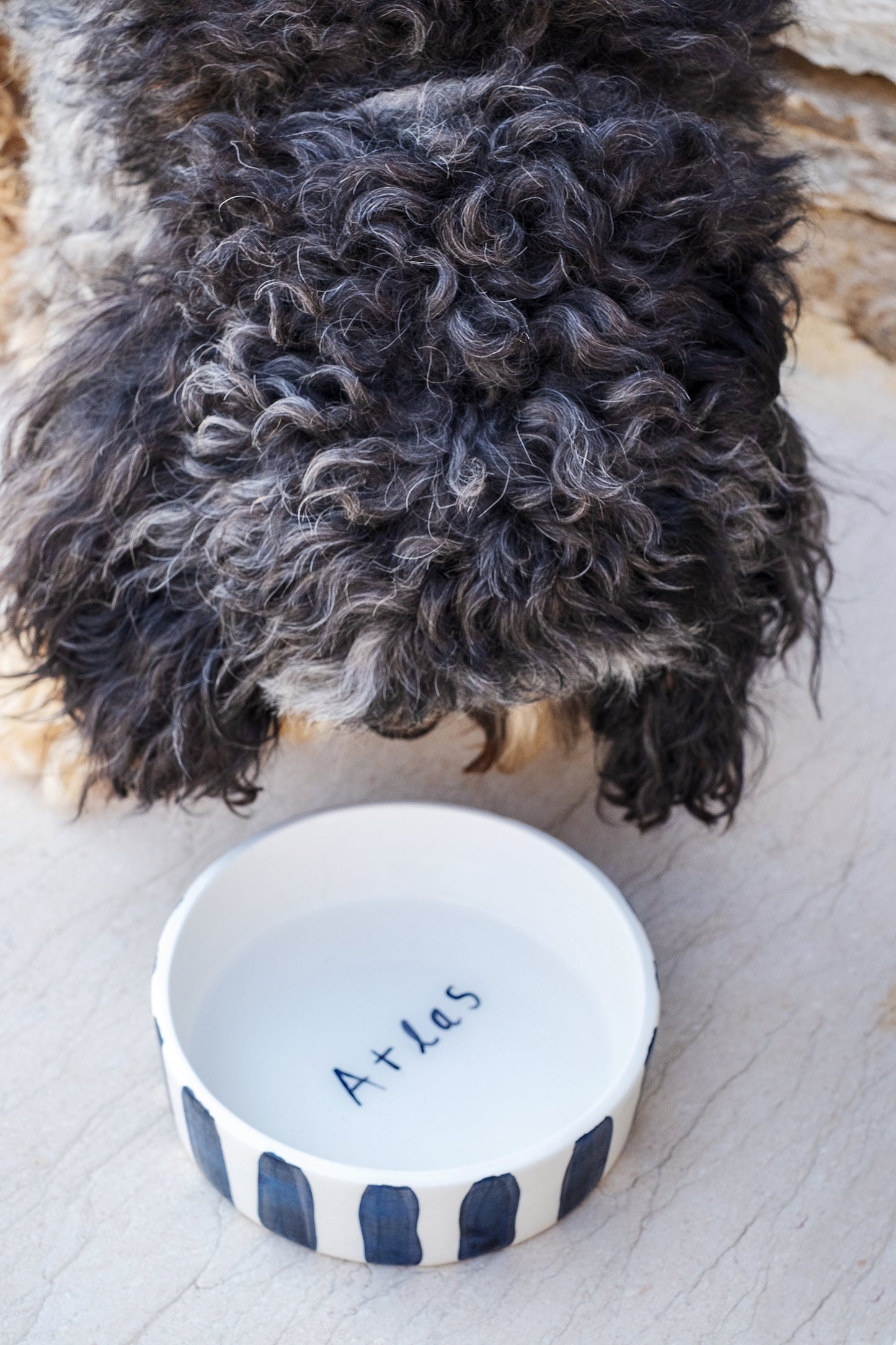 Black and White Striped Pet Bowl