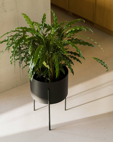 Maki Plant Pot - Tall-