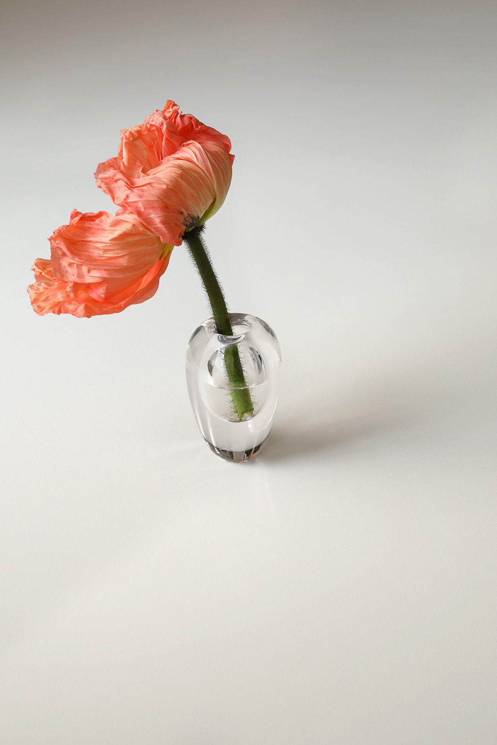 Mouth Blown Vase Liv Clear