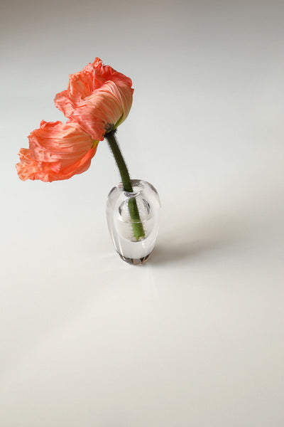 Mouth Blown Vase Liv Clear
