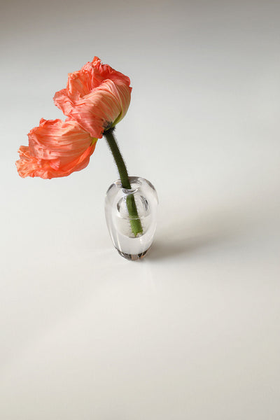 Mouth Blown Vase Liv Clear