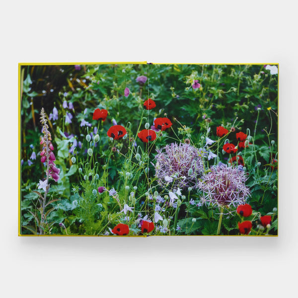 A Year in Bloom: Flowering Bulbs for Every Season