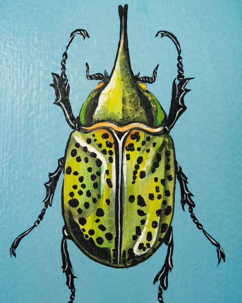 Hand-Painted Decorative Iron Tray - Beetle
