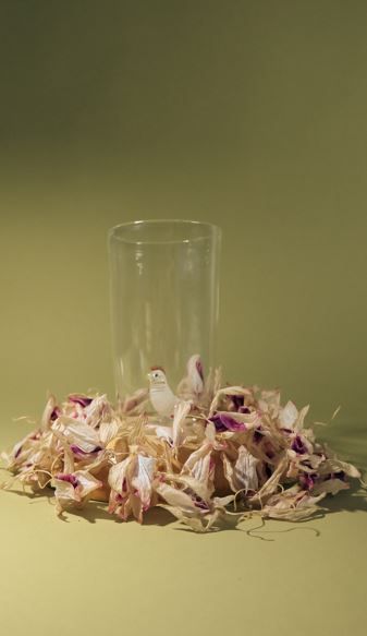 Chicken Glass (set of 4)