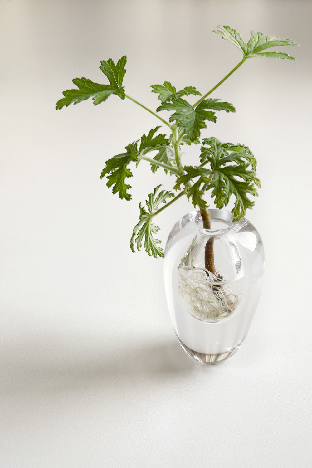 Mouth Blown Vase Liv Clear