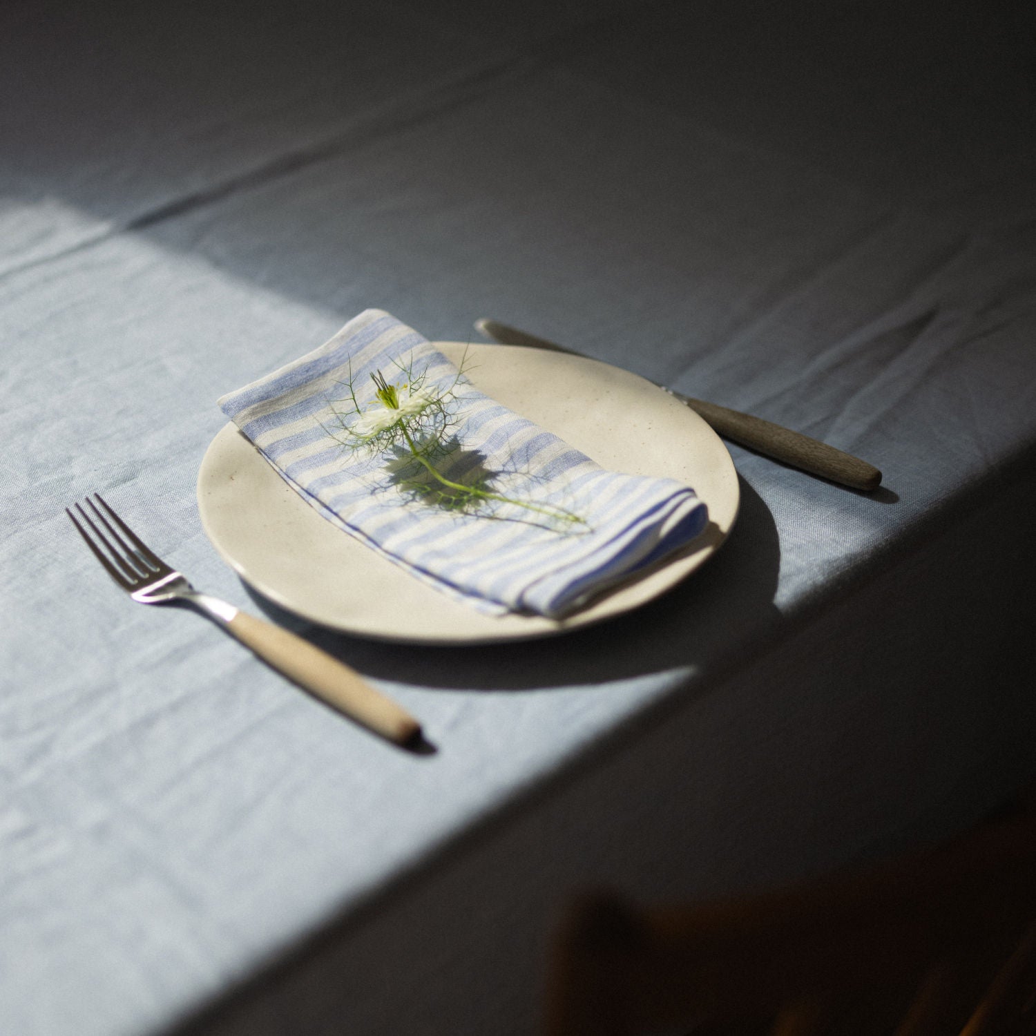 Blue Stripes Napkins (Set of 2)