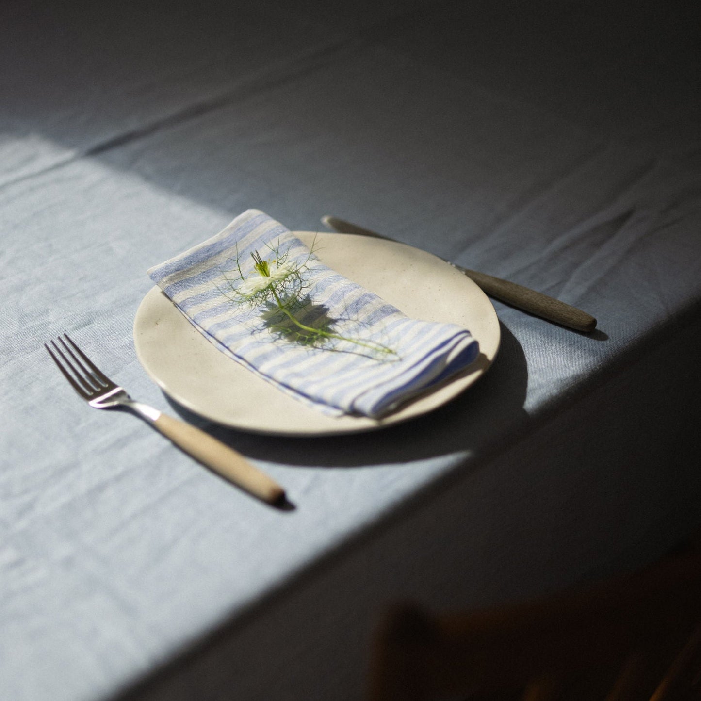 Blue Stripes Napkins (Set of 2)