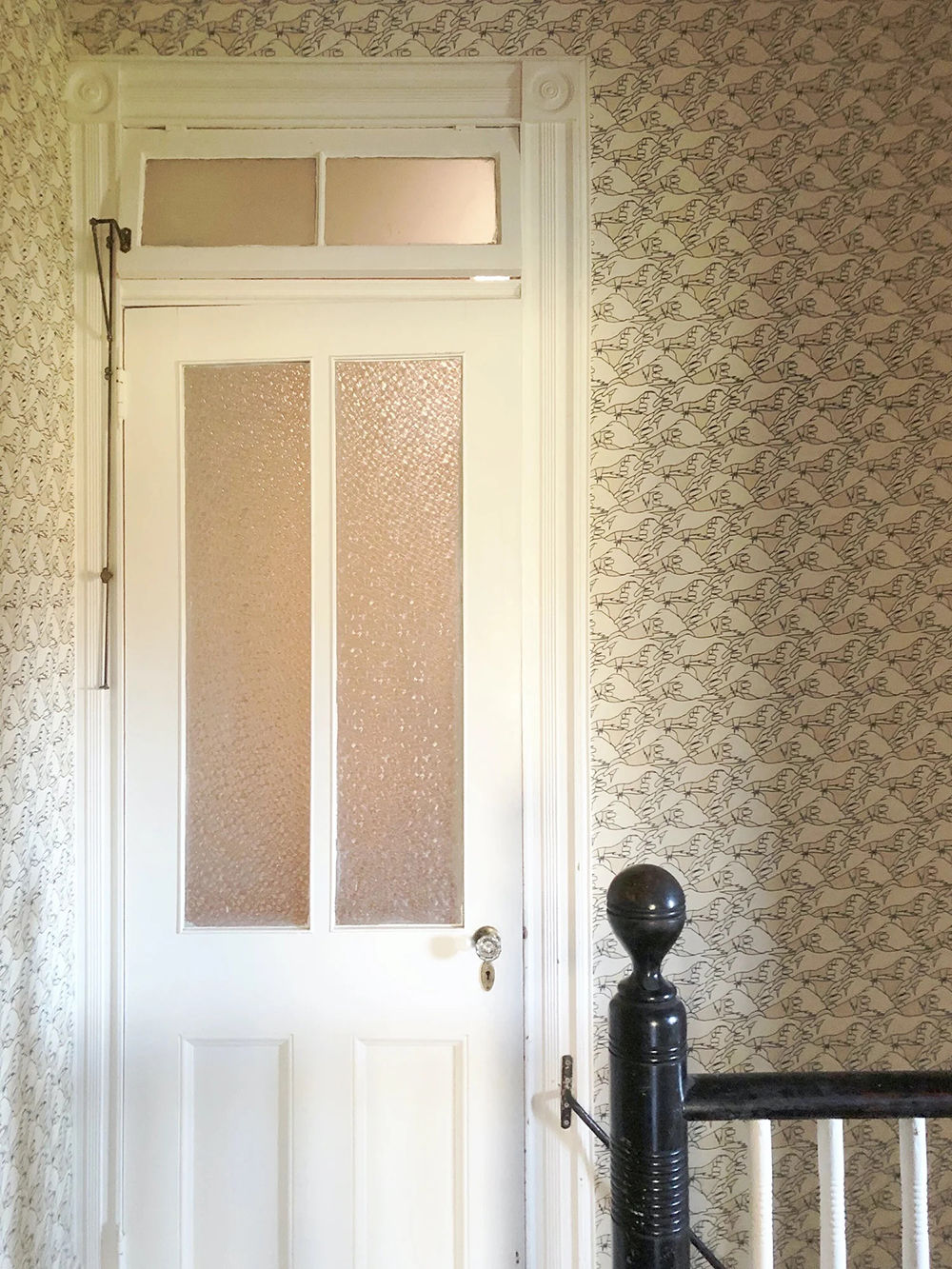 Bird in Hand Wallpaper