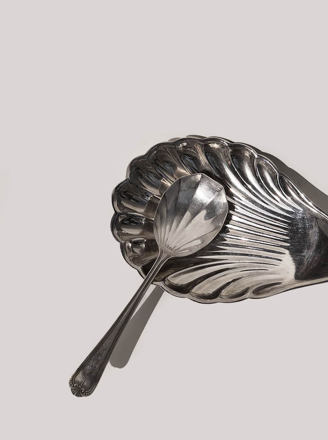 Set of 4 Shell Spoons